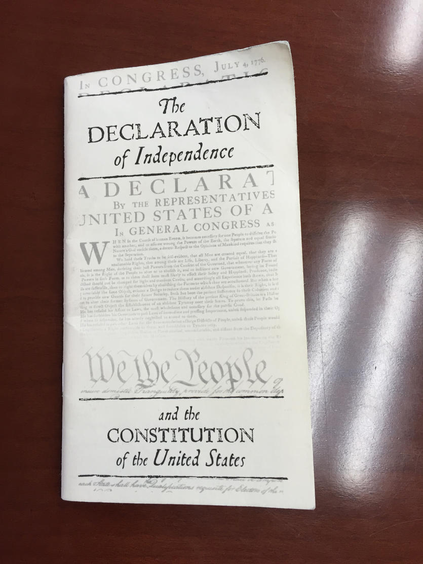 Constitution Booklet jpg Delta News Hub Constitution booklet jpg delta news hub
